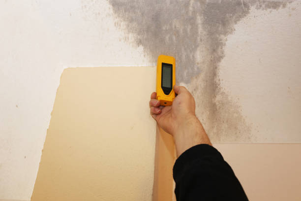 Best Emergency Mold Remediation  in Roswell, GA